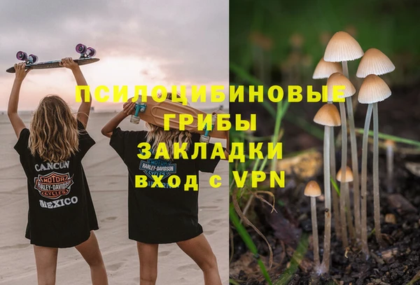 каннабис Корсаков