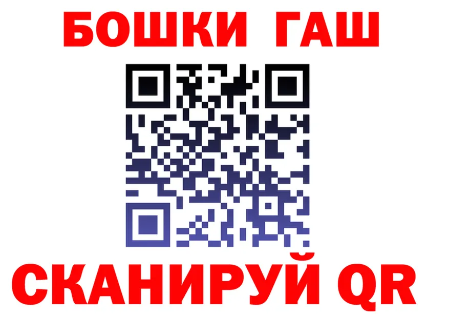 ГАШ Premium зеркало площадка OMG Почеп