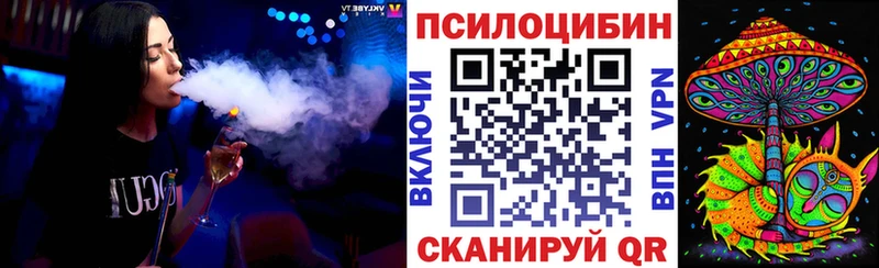 Купить где  Почеп  Галлюциногенные грибы MAGIC MUSHROOMS 
