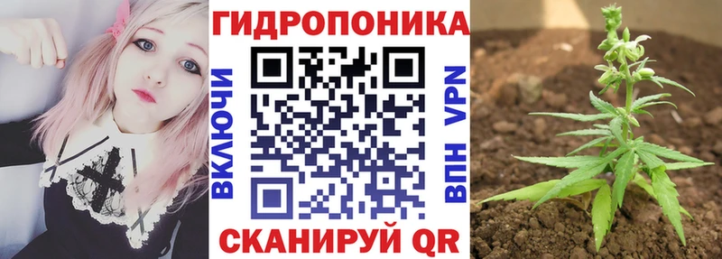 Купить где  Почеп  Марихуана THC 21% 